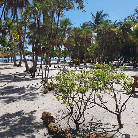 Wild Orchid Hotel Placencia Exterior foto