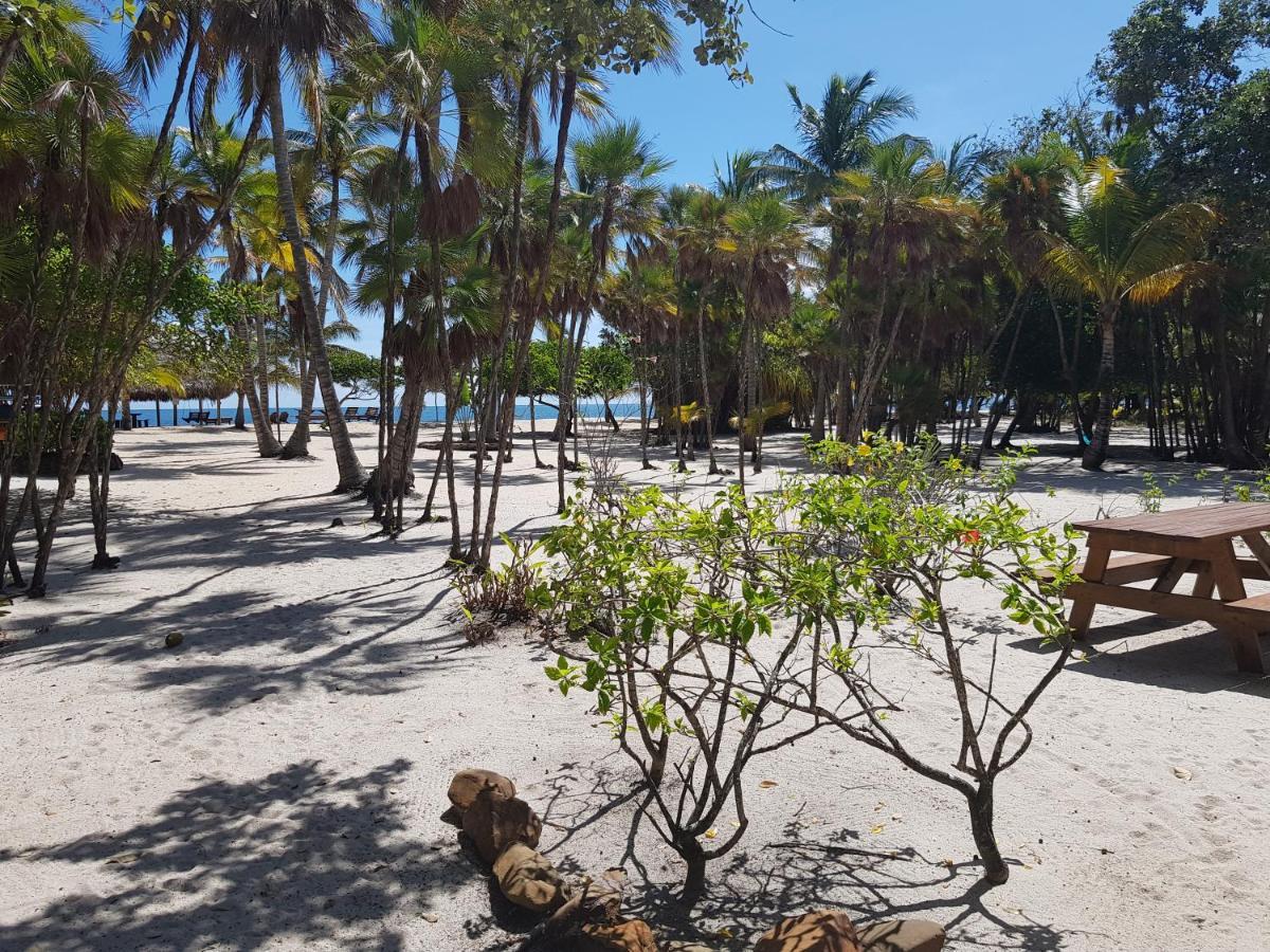 Wild Orchid Hotel Placencia Exterior foto
