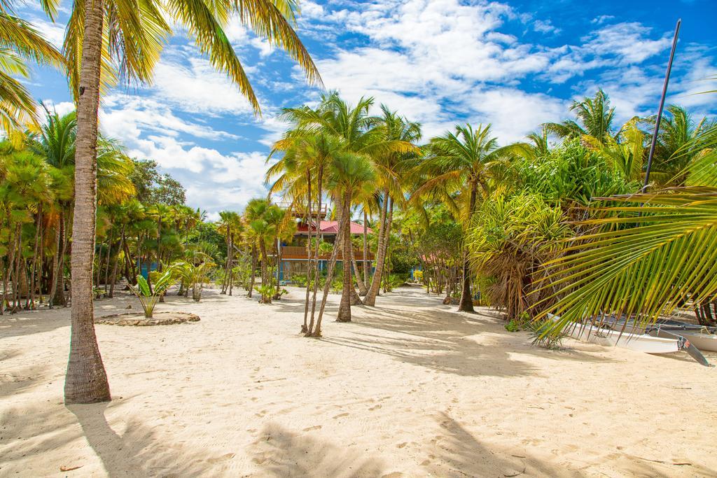 Wild Orchid Hotel Placencia Exterior foto